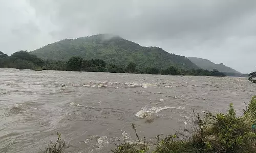 कावेरी नदी में गोता लगाने के बाद मस्ती: 4 साल में 28 मौतें कावेरी नदी में गोता लगाने के बाद मस्ती: 4 साल में 28 मौतें