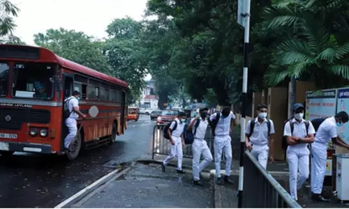 श्रीलंका: स्कूलों में डेंगू और चिकनगुनिया को रोकने के लिए नए दिशा-निर्देश जारी श्रीलंका: स्कूलों में डेंगू और चिकनगुनिया को रोकने के लिए नए दिशा-निर्देश जारी
