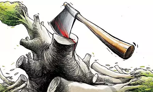 Bengaluru : देवनहल्ली में नई जेल के निर्माण के लिए 626 पेड़ काटे गए
