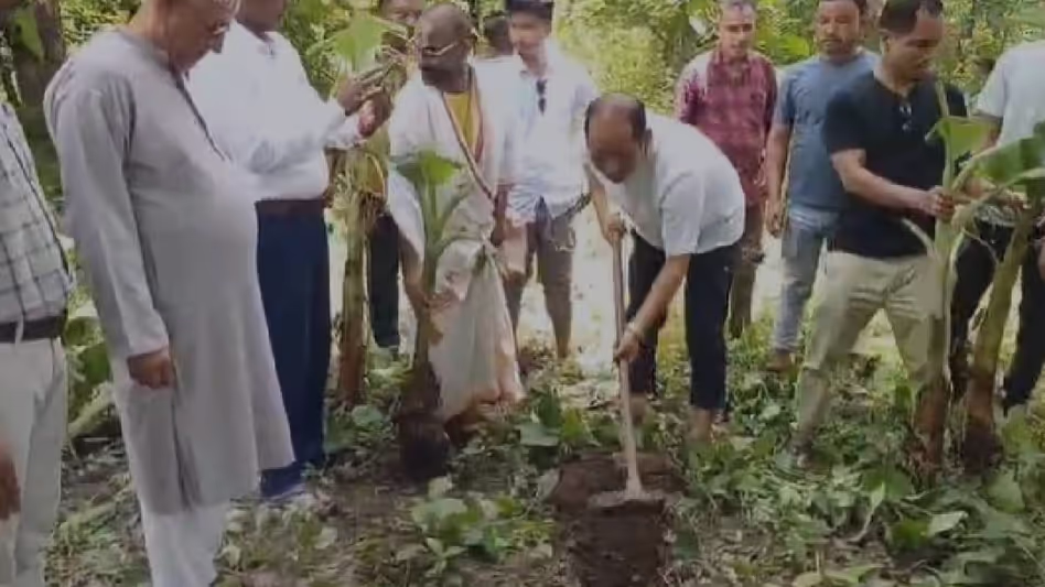Assam : मानव-हाथी संघर्ष को रोकने के लिए 600 केले और 1,000 कटहल के पेड़ लगाए गए