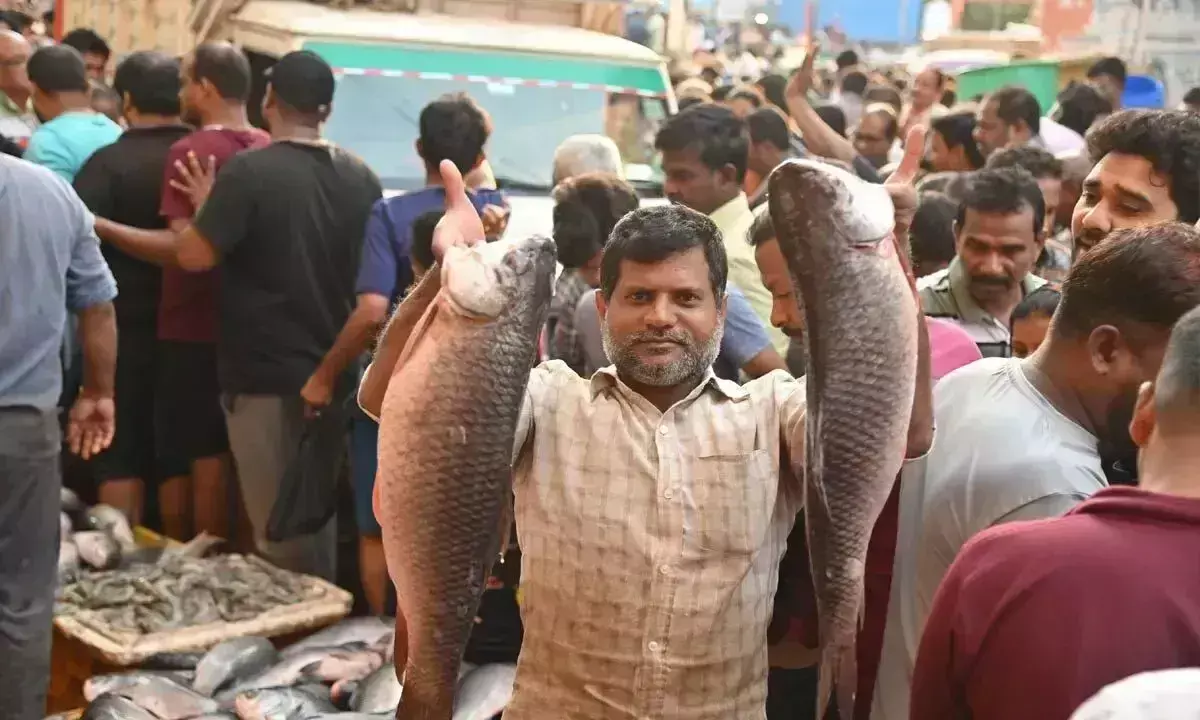 Telangana: मृगशिरा कार्टे पर मछली प्रेमियों की उमड़ी बाजार में भीड़ Telangana: मृगशिरा कार्टे पर मछली प्रेमियों की उमड़ी बाजार में भीड़