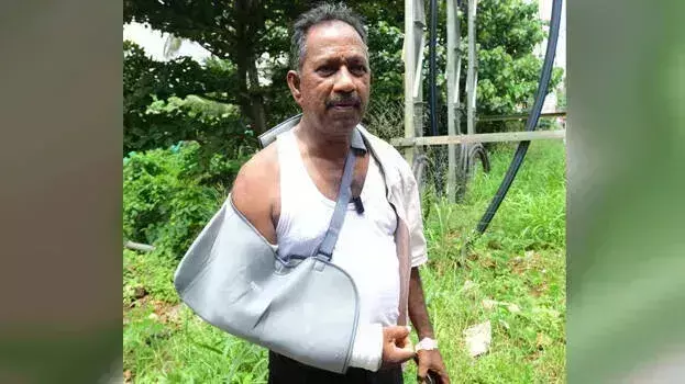 Kerala: कल्लेली एस्टेट में जंगली हाथी का हमला; कर्मचारी का हाथ गंभीर रूप से घायल Kerala: कल्लेली एस्टेट में जंगली हाथी का हमला; कर्मचारी का हाथ गंभीर रूप से घायल