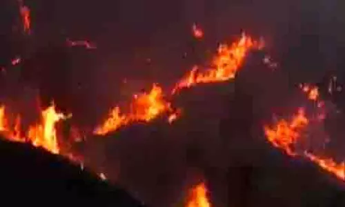 Udhampur के कालड़ी में जंगल में आग लगी