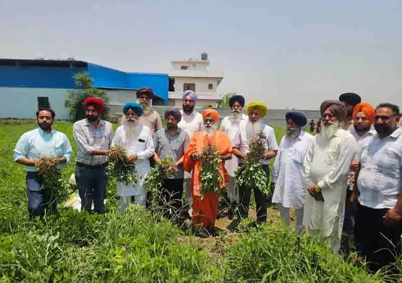 Phagwara: किसानों से कहा गया कि वे पर्यावरण अनुकूल मूंगफली उगाएं Phagwara: किसानों से कहा गया कि वे पर्यावरण अनुकूल मूंगफली उगाएं