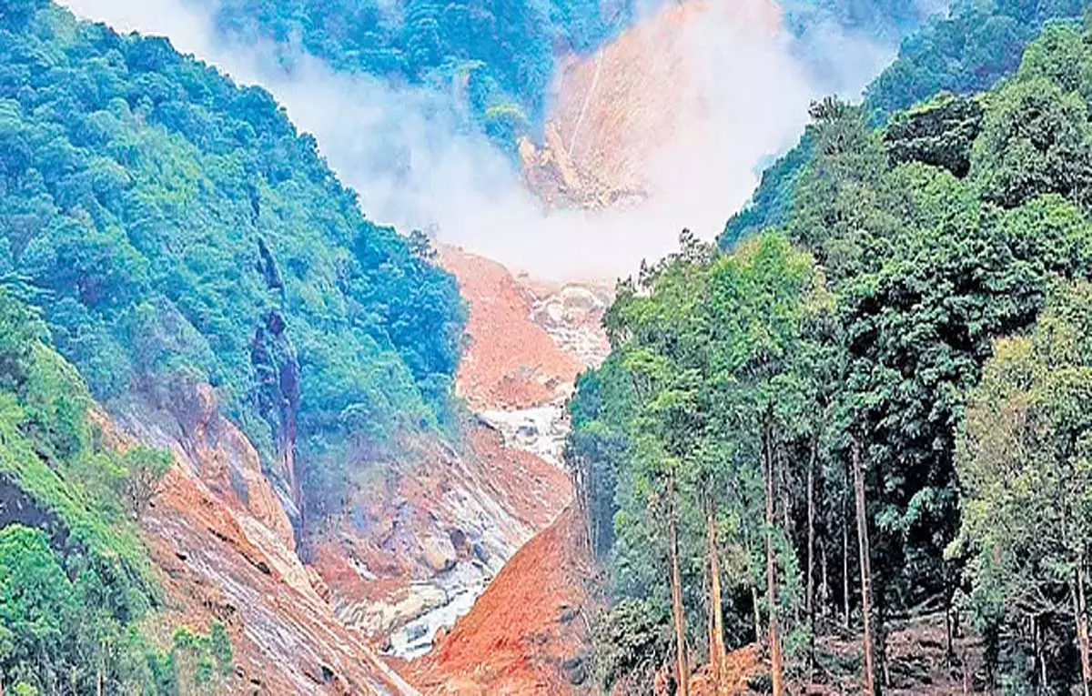 वायनाड के करीमट्टम जंगल में भूस्खलन की रिपोर्ट में देरी से चिंता बढ़ी वायनाड के करीमट्टम जंगल में भूस्खलन की रिपोर्ट में देरी से चिंता बढ़ी