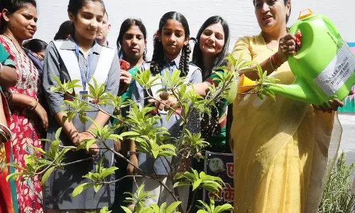 ‘मां के लिए एक पेड़’: मुख्यमंत्री ने पौधा लगाया, जनता से जुड़ने की अपील