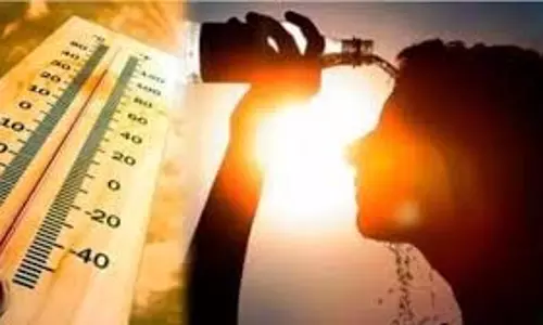 Punjab: तापमान 46 डिग्री के पार, लू से 1 व्यक्ति की मौत