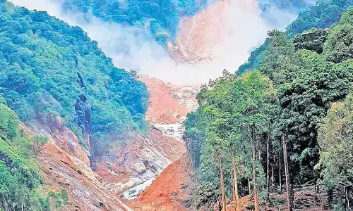 वायनाड के करीमट्टम जंगल में भूस्खलन की रिपोर्ट में देरी से चिंता बढ़ी