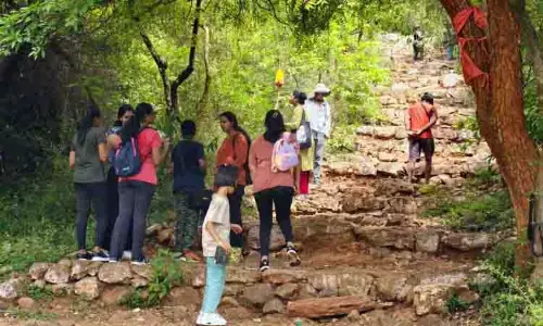 पंखों से अन्वेषण, Pachaimalai पहाड़ियों में तितली सैर पंखों से अन्वेषण, Pachaimalai पहाड़ियों में तितली सैर