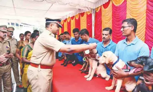 Chennai पुलिस ने 11 पिल्लों को डॉग स्क्वायड में शामिल किया Chennai पुलिस ने 11 पिल्लों को डॉग स्क्वायड में शामिल किया