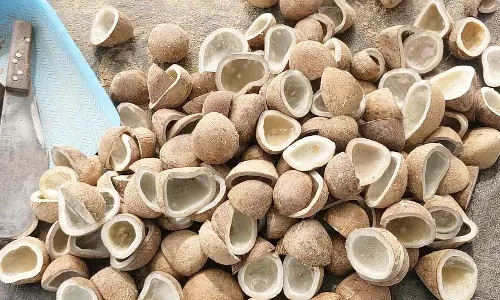 Karnataka : क्विंटल नारियल ₹22 हजार