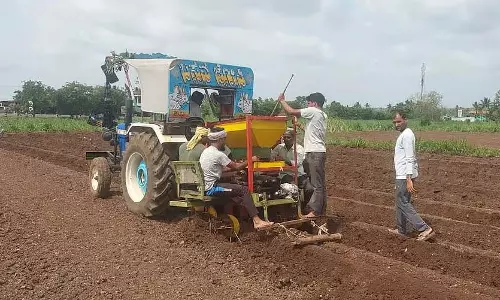 Belgaum : हल्दी की खेती के प्रति किसानों का उत्साह बढ़ रहा