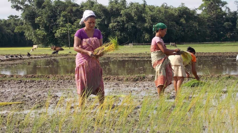 Assam : आदिवासी अधिकारों और संवैधानिक सुरक्षा उपायों के उल्लंघन का आरोप लगाया Assam : आदिवासी अधिकारों और संवैधानिक सुरक्षा उपायों के उल्लंघन का आरोप लगाया