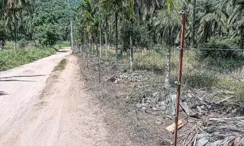 Kerala : उच्च-वोल्टेज बिजली की लाइनें बाड़ों पर फैली हुई Kerala : उच्च-वोल्टेज बिजली की लाइनें बाड़ों पर फैली हुई