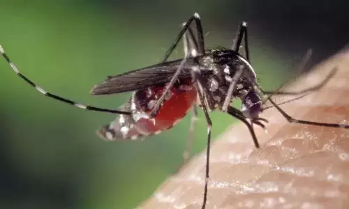 Kerala : डेंगू बुखार के प्रति सतर्क रहें Kerala : डेंगू बुखार के प्रति सतर्क रहें