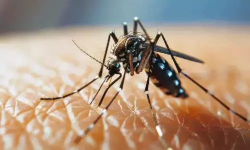 डेंगू बुखार फैला; एक सप्ताह में 50 से अधिक लोगों में संक्रमण की पुष्टि
