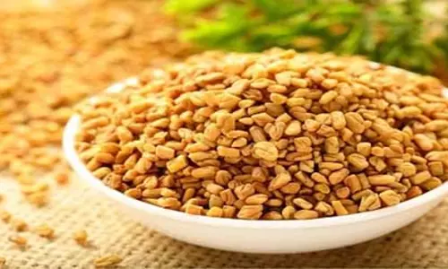 कड़वे-कड़वे मेथी दाने में छिपी है मिठास, जानते हैं कैसे?