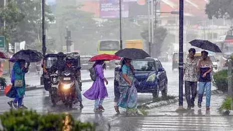 Kerala में 15 जून तक बारिश तेज होगी आईएमडी