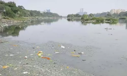 Goa के जल गुणवत्ता संकट का खुलासा प्रदूषण के नए आंकड़ों से हुआ Goa के जल गुणवत्ता संकट का खुलासा प्रदूषण के नए आंकड़ों से हुआ