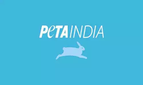 पेटा इंडिया ने Telangana प्रयोगशाला में कथित पशु क्रूरता का पर्दाफाश किया पेटा इंडिया ने Telangana प्रयोगशाला में कथित पशु क्रूरता का पर्दाफाश किया