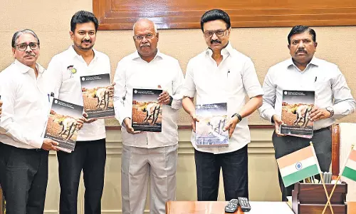TN का लक्ष्य 2030 तक अत्यधिक गरीबी को खत्म करना है, एसडीजी विजन रिपोर्ट पर प्रकाश डाला गया TN का लक्ष्य 2030 तक अत्यधिक गरीबी को खत्म करना है, एसडीजी विजन रिपोर्ट पर प्रकाश डाला गया