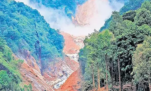 वायनाड के करीमट्टम जंगल में भूस्खलन की रिपोर्ट में देरी से चिंता बढ़ी