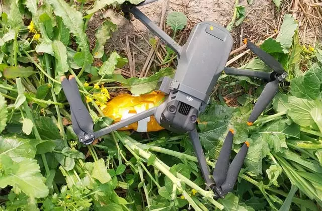BSF को मिली बड़ी कामयाबी, हेरोइन और ड्रोन बरामद BSF को मिली बड़ी कामयाबी, हेरोइन और ड्रोन बरामद