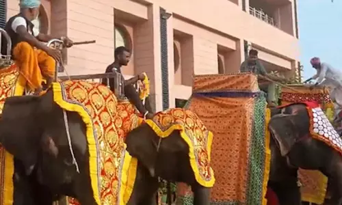 148वीं रथ यात्रा से पहले अहमदाबाद में निकलेगी भगवान जगन्नाथ की जलयात्रा