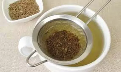 Health: जीरा या अजवाइन, खाली पेट किसका पानी पीना है ज्यादा फायदेमंद Health: जीरा या अजवाइन, खाली पेट किसका पानी पीना है ज्यादा फायदेमंद