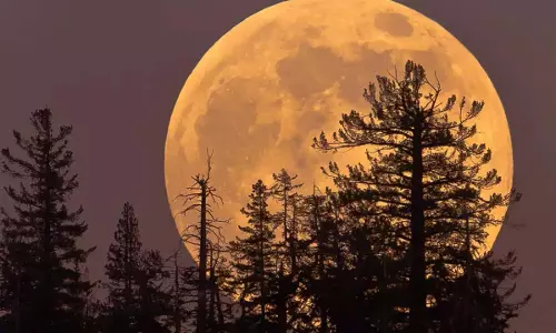 Jyeshtha Purnima: ज्येष्ठ पूर्णिमा पर करें ये खास उपाय, आपकी जिंदगी में आएगा खूबसूरत मोड़ Jyeshtha Purnima: ज्येष्ठ पूर्णिमा पर करें ये खास उपाय, आपकी जिंदगी में आएगा खूबसूरत मोड़