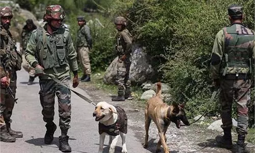 Samba: संदिग्ध की हरकत से इलाके में दहशत