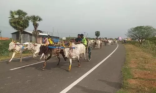 Tamil Nadu: शिवगंगा के पास बैलगाड़ी दौड़