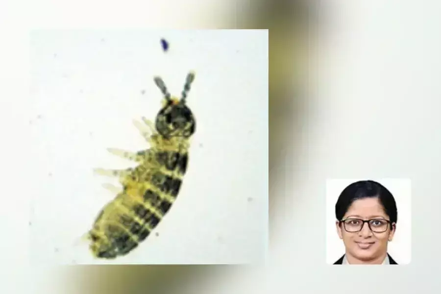 युवा मलयाली वैज्ञानिक ने 92 साल बाद केरल में दुर्लभ कोलेम्बोला प्रजाति की पुन खोज की