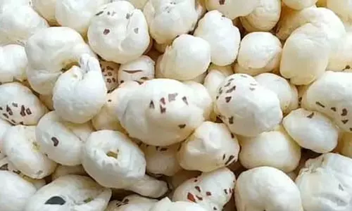 पौष्टिकता से भरपूर है मखाना, अंग्रेजी में क्यों कहते हैं फॉक्स नट्स?