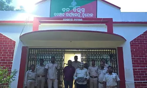 Odisha में सोलर बाड़ की चपेट में आने से एक और हाथी की मौत, एक गिरफ्तार