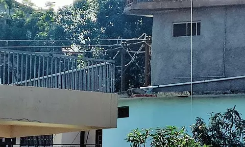 स्कूलों के ऊपर से हाई-टेंशन तार हटाए जाएं Haryana मानवाधिकार आयोग स्कूलों के ऊपर से हाई-टेंशन तार हटाए जाएं Haryana मानवाधिकार आयोग