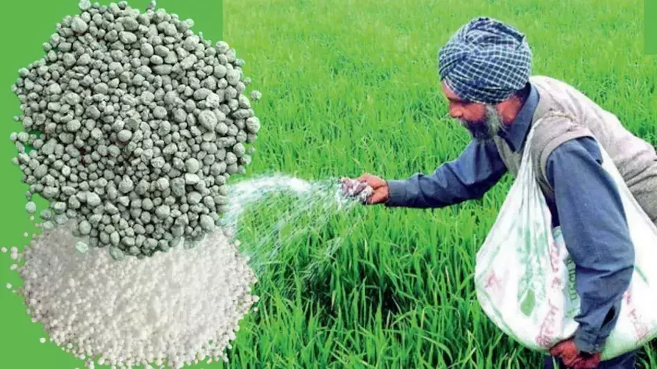 Ballia: खाद और बीज को लेकर न घबराएं किसान, प्रशासन ने बताई स्थिति सामान्य Ballia: खाद और बीज को लेकर न घबराएं किसान, प्रशासन ने बताई स्थिति सामान्य