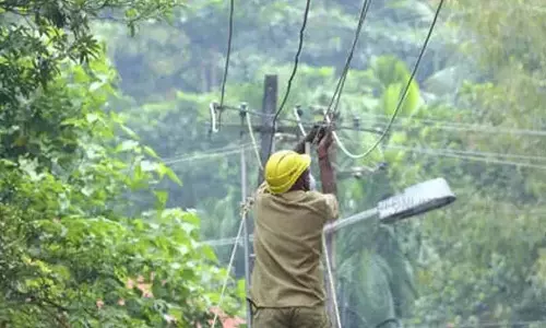 संविदा कर्मचारी निराश; KSEB कर्मियों की भर्ती रोजगार कार्यालय के माध्यम से