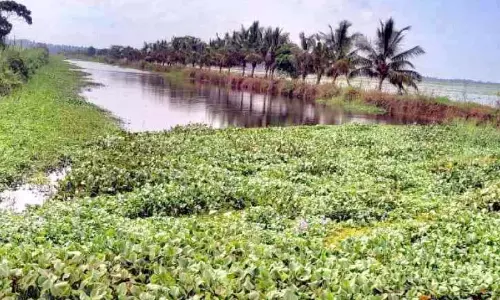 नहर में पानी और सीवेज भर गया है; बाढ़ का खतरा