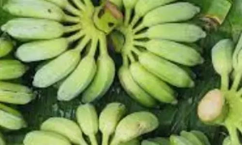 मापुसा में FDA द्वारा सील किया गया गोदाम अवैध रूप से खोला गया