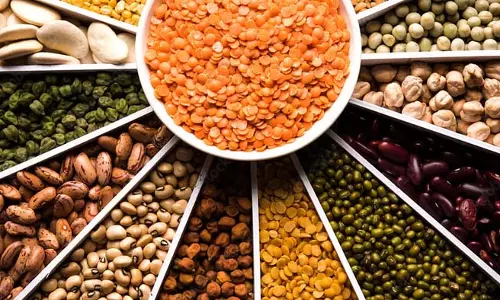 दालों में छिपा सेहत का खजाना – जानिए कौन-सी है सबसे प्रोटीनयुक्त दाल