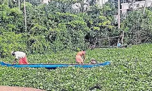 Kerala : वेम्बनाड झील में काई, मछुआरे संकट में