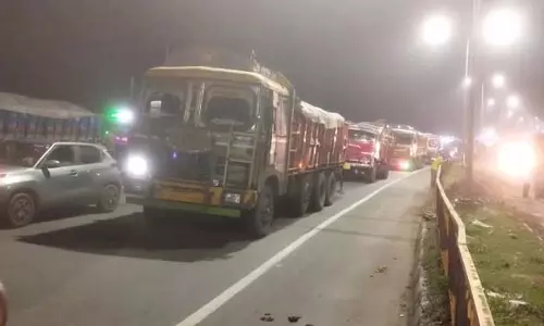 बहन के घर जा रहे व्यक्ति को ट्रक ने कुचला, मौके पर मौत