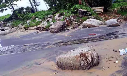 मछुआरों ने मछली पकड़ने में बाधा उत्पन्न करने वाली कपास की गेंदों के जमा होने पर विरोध प्रदर्शन किया