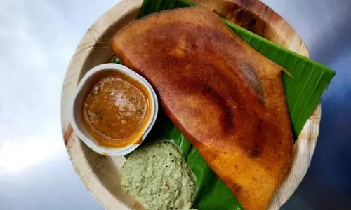इडली से कांजी तक : मानसून में प्रोबायोटिक्स के फायदे