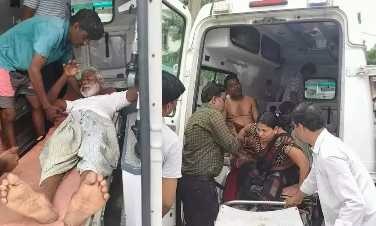 Telangana: मधुमक्खियों के भीषण हमले में आठ किसान घायल Telangana: मधुमक्खियों के भीषण हमले में आठ किसान घायल
