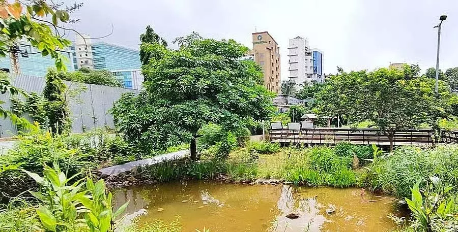 Mumbai : बीएमसी ने 51,500 नए पौधों के साथ मरोल शहरी वन के लिए ₹21 करोड़ के विस्तार की योजना बनाई Mumbai : बीएमसी ने 51,500 नए पौधों के साथ मरोल शहरी वन के लिए ₹21 करोड़ के विस्तार की योजना बनाई