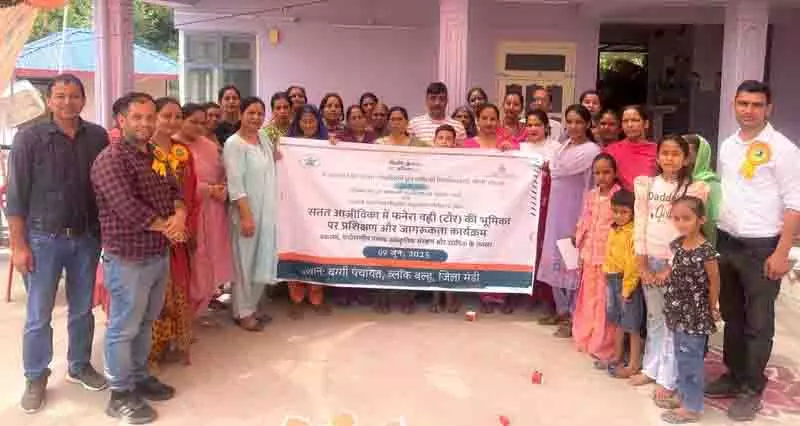 Mandi Baggi village को स्थानीय पौधों की क्षमता का दोहन करने का अधिकार Mandi Baggi village को स्थानीय पौधों की क्षमता का दोहन करने का अधिकार