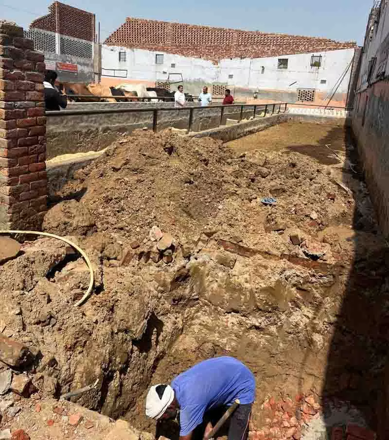 Ludhiana: तूफान से गौशालाओं को नुकसान, सहायता मांगी गई Ludhiana: तूफान से गौशालाओं को नुकसान, सहायता मांगी गई