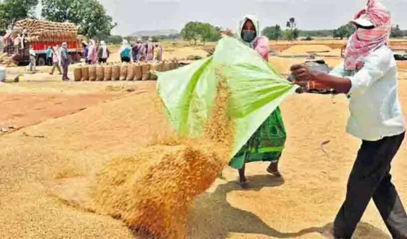 अच्छी बारिश के बावजूद यूरिया की कमी से Telangana की खरीफ की संभावनाओं पर असर अच्छी बारिश के बावजूद यूरिया की कमी से Telangana की खरीफ की संभावनाओं पर असर